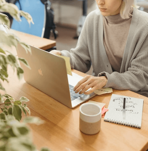 Zurelo Chain equipo de apoyo ilustración